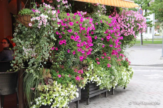 粗眉仔, 旅遊, Travel, 渡假, 觀光, sightseeing, 歐洲, Europe, 芬蘭, 赫爾辛基, 愛沙尼亞, 塔林, 拉脫維亞, 里加, 古城, 波羅的海, 世界文化遺產, Finland, Helsinki, Baltic Sea, Estonia, Latvia, Riga, Sigulda, Tallinn, world heritage 