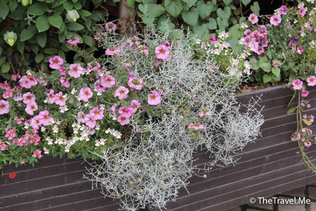 粗眉仔, 旅遊, Travel, 渡假, 觀光, sightseeing, 歐洲, Europe, 芬蘭, 赫爾辛基, 愛沙尼亞, 塔林, 拉脫維亞, 里加, 古城, 波羅的海, 世界文化遺產, Finland, Helsinki, Baltic Sea, Estonia, Latvia, Riga, Sigulda, Tallinn, world heritage 