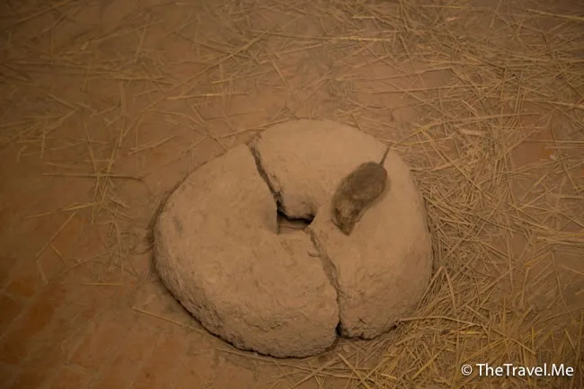 粗眉仔, 旅遊, Travel, 渡假, 觀光, sightseeing, 歐洲, Europe, 芬蘭, 赫爾辛基, 愛沙尼亞, 塔林, 拉脫維亞, 里加, 古城, 波羅的海, 世界文化遺產, Finland, Helsinki, Baltic Sea, Estonia, Latvia, Riga, Sigulda, Tallinn, world heritage 