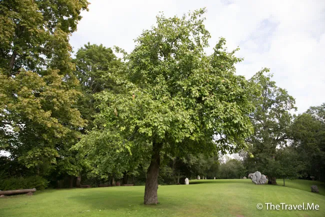 粗眉仔, 旅遊, Travel, 渡假, 觀光, sightseeing, 歐洲, Europe, 芬蘭, 赫爾辛基, 愛沙尼亞, 塔林, 拉脫維亞, 里加, 古城, 波羅的海, 世界文化遺產, Finland, Helsinki, Baltic Sea, Estonia, Latvia, Riga, Sigulda, Tallinn, world heritage 