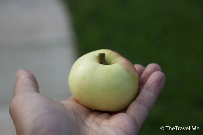 粗眉仔, 旅遊, Travel, 渡假, 觀光, sightseeing, 歐洲, Europe, 芬蘭, 赫爾辛基, 愛沙尼亞, 塔林, 拉脫維亞, 里加, 古城, 波羅的海, 世界文化遺產, Finland, Helsinki, Baltic Sea, Estonia, Latvia, Riga, Sigulda, Tallinn, world heritage 