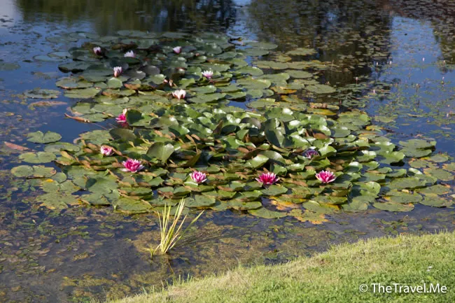 粗眉仔, 旅遊, Travel, 渡假, 觀光, sightseeing, 歐洲, Europe, 芬蘭, 赫爾辛基, 愛沙尼亞, 塔林, 拉脫維亞, 里加, 古城, 波羅的海, 世界文化遺產, Finland, Helsinki, Baltic Sea, Estonia, Latvia, Riga, Sigulda, Tallinn, world heritage 