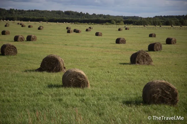 粗眉仔, 旅遊, Travel, 渡假, 觀光, sightseeing, 歐洲, Europe, 芬蘭, 赫爾辛基, 愛沙尼亞, 塔林, 拉脫維亞, 里加, 古城, 波羅的海, 世界文化遺產, Finland, Helsinki, Baltic Sea, Estonia, Latvia, Riga, Sigulda, Tallinn, world heritage 