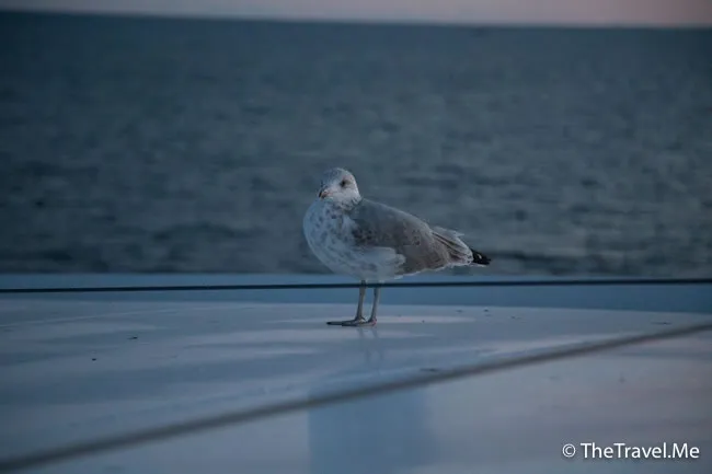 粗眉仔, 旅遊, Travel, 渡假, 觀光, sightseeing, 歐洲, Europe, 芬蘭, 赫爾辛基, 愛沙尼亞, 塔林, 拉脫維亞, 里加, 古城, 波羅的海, 世界文化遺產, Finland, Helsinki, Baltic Sea, Estonia, Latvia, Riga, Sigulda, Tallinn, world heritage 