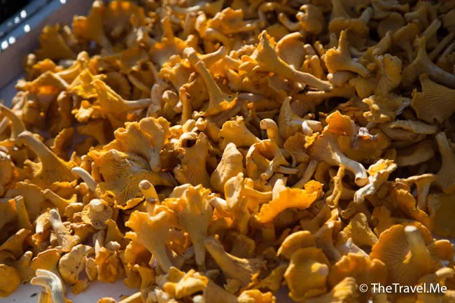 粗眉仔, 旅遊, Travel, 渡假, 觀光, sightseeing, 歐洲, Europe, 芬蘭, 赫爾辛基, 愛沙尼亞, 塔林, 拉脫維亞, 里加, 古城, 波羅的海, 世界文化遺產, Finland, Helsinki, Baltic Sea, Estonia, Latvia, Riga, Sigulda, Tallinn, world heritage 