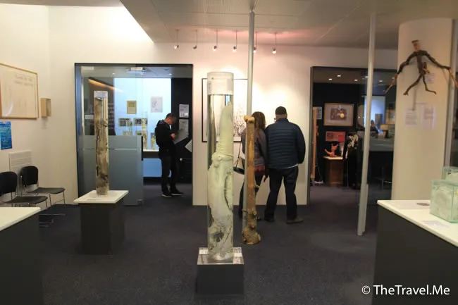 粗眉仔, 旅遊, Travel, 渡假, 觀光, sightseeing, 歐洲, 冰島, 北極, 瀑布, 熔岩, 冰山, Europe, Iceland, Golden Circle, 火山, volcano, Reykjavik, Akureyri, lake Myvatn, glacier, 冰川