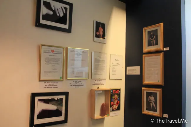 粗眉仔, 旅遊, Travel, 渡假, 觀光, sightseeing, 歐洲, 冰島, 北極, 瀑布, 熔岩, 冰山, Europe, Iceland, Golden Circle, 火山, volcano, Reykjavik, Akureyri, lake Myvatn, glacier, 冰川