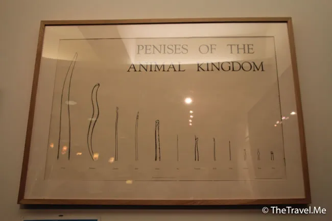 粗眉仔, 旅遊, Travel, 渡假, 觀光, sightseeing, 歐洲, 冰島, 北極, 瀑布, 熔岩, 冰山, Europe, Iceland, Golden Circle, 火山, volcano, Reykjavik, Akureyri, lake Myvatn, glacier, 冰川