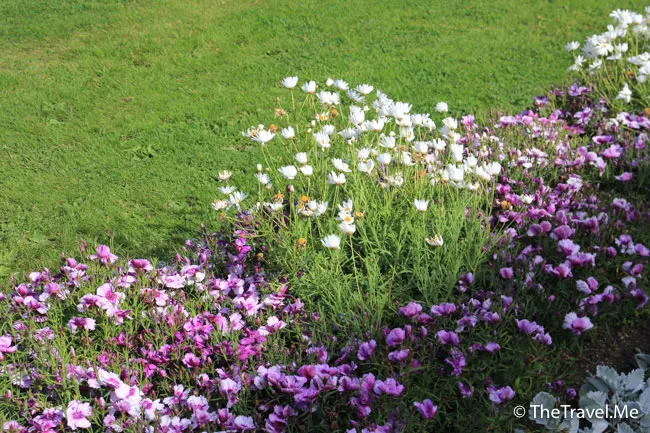 粗眉仔, 旅遊, Travel, 渡假, 觀光, sightseeing, 歐洲, 冰島, 北極, 瀑布, 熔岩, 冰山, Europe, Iceland, Golden Circle, 火山, volcano, Reykjavik, Akureyri, lake Myvatn, glacier, 冰川