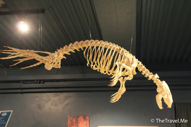 粗眉仔, 旅遊, Travel, 渡假, 觀光, sightseeing, 歐洲, 冰島, 北極, 瀑布, 熔岩, 冰山, Europe, Iceland, Golden Circle, 火山, volcano, Reykjavik, Akureyri, lake Myvatn, glacier, 冰川