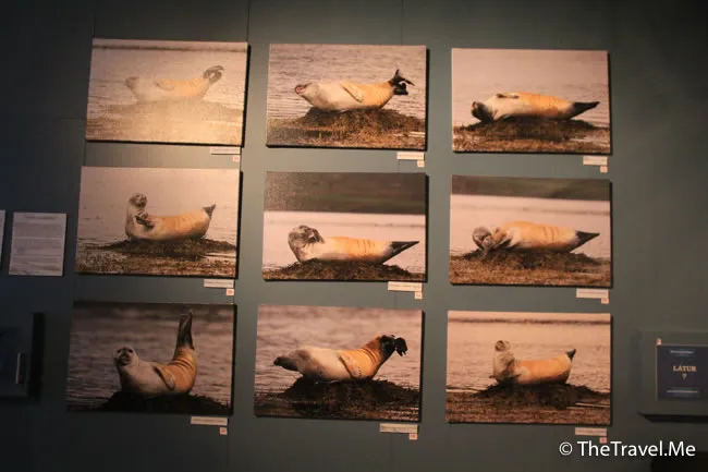 粗眉仔, 旅遊, Travel, 渡假, 觀光, sightseeing, 歐洲, 冰島, 北極, 瀑布, 熔岩, 冰山, Europe, Iceland, Golden Circle, 火山, volcano, Reykjavik, Akureyri, lake Myvatn, glacier, 冰川