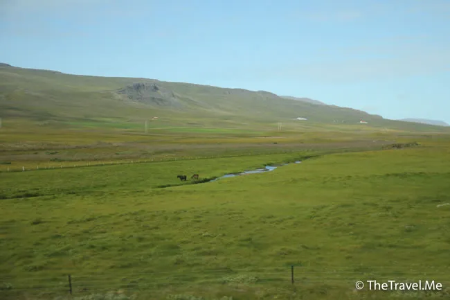 粗眉仔, 旅遊, Travel, 渡假, 觀光, sightseeing, 歐洲, 冰島, 北極, 瀑布, 熔岩, 冰山, Europe, Iceland, Golden Circle, 火山, volcano, Reykjavik, Akureyri, lake Myvatn, glacier, 冰川