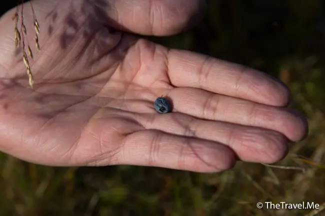 粗眉仔, 旅遊, Travel, 渡假, 觀光, sightseeing, 歐洲, 冰島, 北極, 瀑布, 熔岩, 冰山, Europe, Iceland, Golden Circle, 火山, volcano, Reykjavik, Akureyri, lake Myvatn, glacier, 冰川