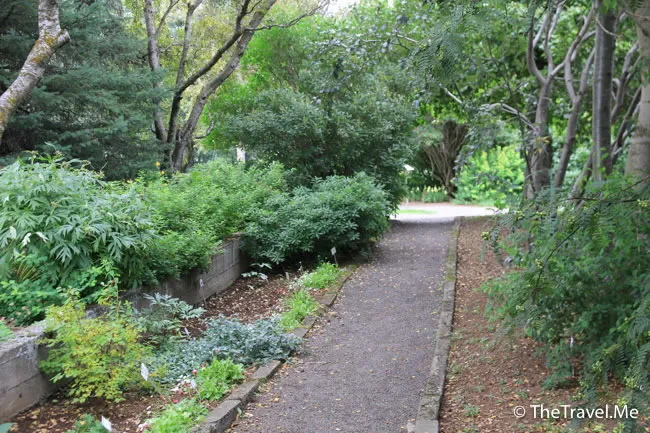 粗眉仔, 旅遊, Travel, 渡假, 觀光, sightseeing, 歐洲, 冰島, 北極, 瀑布, 熔岩, 冰山, Europe, Iceland, Golden Circle, 火山, volcano, Reykjavik, Akureyri, lake Myvatn, glacier, 冰川