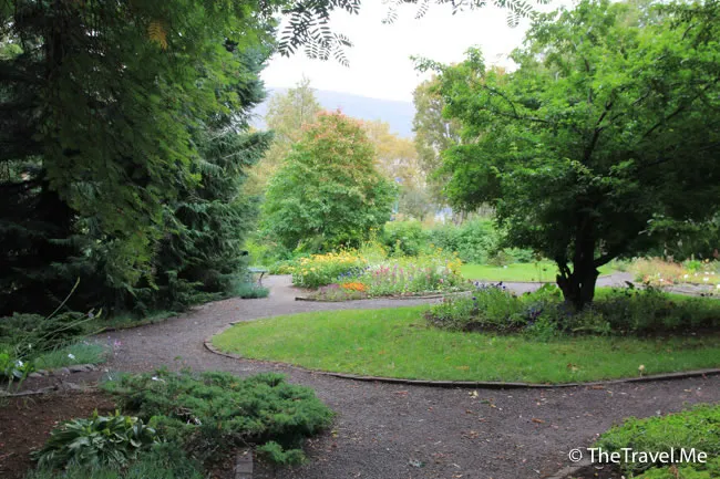 粗眉仔, 旅遊, Travel, 渡假, 觀光, sightseeing, 歐洲, 冰島, 北極, 瀑布, 熔岩, 冰山, Europe, Iceland, Golden Circle, 火山, volcano, Reykjavik, Akureyri, lake Myvatn, glacier, 冰川