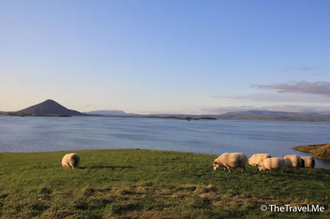 粗眉仔, 旅遊, Travel, 渡假, 觀光, sightseeing, 歐洲, 冰島, 北極, 瀑布, 熔岩, 冰山, Europe, Iceland, Golden Circle, 火山, volcano, Reykjavik, Akureyri, lake Myvatn, glacier, 冰川