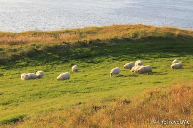 粗眉仔, 旅遊, Travel, 渡假, 觀光, sightseeing, 歐洲, 冰島, 北極, 瀑布, 熔岩, 冰山, Europe, Iceland, Golden Circle, 火山, volcano, Reykjavik, Akureyri, lake Myvatn, glacier, 冰川