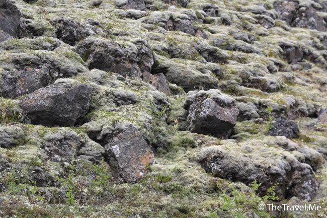 粗眉仔, 旅遊, Travel, 渡假, 觀光, sightseeing, 歐洲, 冰島, 北極, 瀑布, 熔岩, 冰山, Europe, Iceland, Golden Circle, 火山, volcano, Reykjavik, Akureyri, lake Myvatn, glacier, 冰川