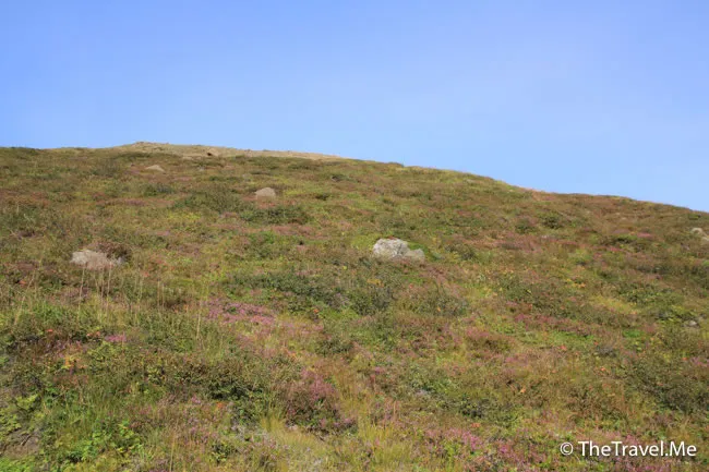 粗眉仔, 旅遊, Travel, 渡假, 觀光, sightseeing, 歐洲, 冰島, 北極, 瀑布, 熔岩, 冰山, Europe, Iceland, Golden Circle, 火山, volcano, Reykjavik, Akureyri, lake Myvatn, glacier, 冰川