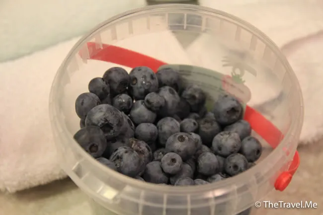 粗眉仔, 旅遊, Travel, 渡假, 觀光, sightseeing, 歐洲, 冰島, 北極, 瀑布, 熔岩, 冰山, Europe, Iceland, Golden Circle, 火山, volcano, Reykjavik, Akureyri, lake Myvatn, glacier, 冰川