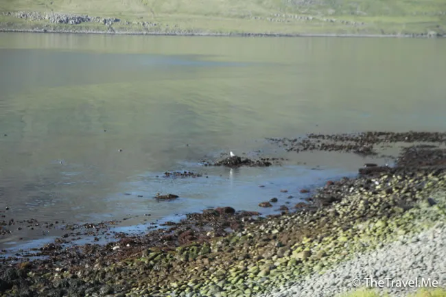 粗眉仔, 旅遊, Travel, 渡假, 觀光, sightseeing, 歐洲, 冰島, 北極, 瀑布, 熔岩, 冰山, Europe, Iceland, Golden Circle, 火山, volcano, Reykjavik, Akureyri, lake Myvatn, glacier, 冰川