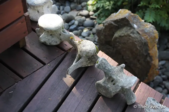 粗眉仔, 旅遊, Travel, 渡假, 觀光, sightseeing, 歐洲, 冰島, 北極, 瀑布, 熔岩, 冰山, Europe, Iceland, Golden Circle, 火山, volcano, Reykjavik, Akureyri, lake Myvatn, glacier, 冰川