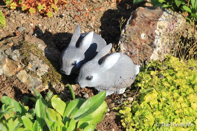 粗眉仔, 旅遊, Travel, 渡假, 觀光, sightseeing, 歐洲, 冰島, 北極, 瀑布, 熔岩, 冰山, Europe, Iceland, Golden Circle, 火山, volcano, Reykjavik, Akureyri, lake Myvatn, glacier, 冰川