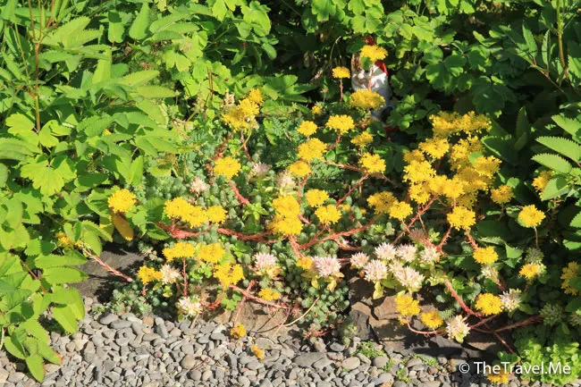 粗眉仔, 旅遊, Travel, 渡假, 觀光, sightseeing, 歐洲, 冰島, 北極, 瀑布, 熔岩, 冰山, Europe, Iceland, Golden Circle, 火山, volcano, Reykjavik, Akureyri, lake Myvatn, glacier, 冰川