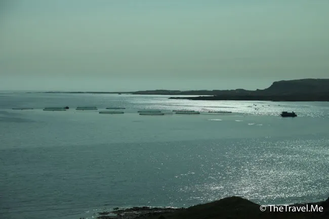 粗眉仔, 旅遊, Travel, 渡假, 觀光, sightseeing, 歐洲, 冰島, 北極, 瀑布, 熔岩, 冰山, Europe, Iceland, Golden Circle, 火山, volcano, Reykjavik, Akureyri, lake Myvatn, glacier, 冰川