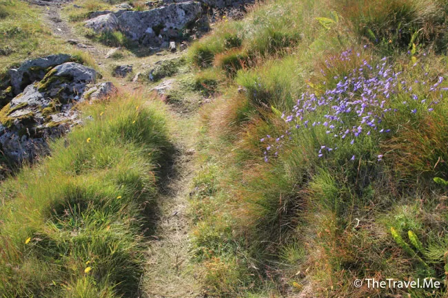 粗眉仔, 旅遊, Travel, 渡假, 觀光, sightseeing, 歐洲, 冰島, 北極, 瀑布, 熔岩, 冰山, Europe, Iceland, Golden Circle, 火山, volcano, Reykjavik, Akureyri, lake Myvatn, glacier, 冰川