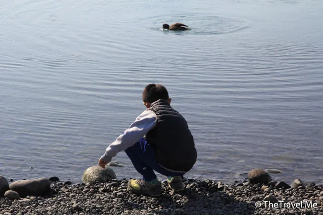 粗眉仔, 旅遊, Travel, 渡假, 觀光, sightseeing, 歐洲, 冰島, 北極, 瀑布, 熔岩, 冰山, Europe, Iceland, Golden Circle, 火山, volcano, Reykjavik, Akureyri, lake Myvatn, glacier, 冰川