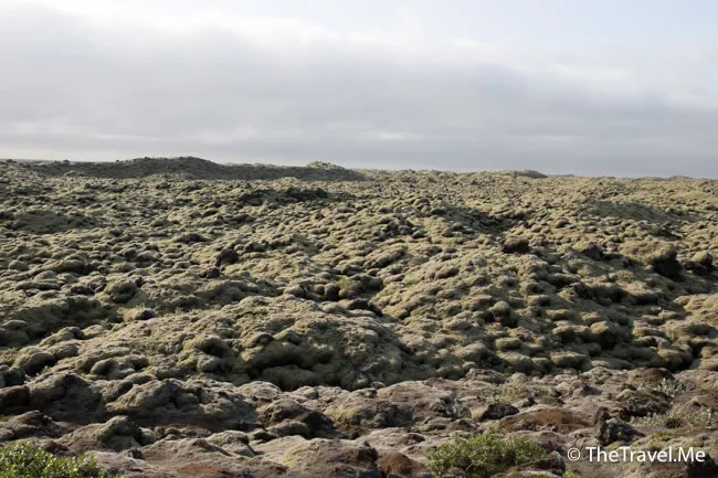 粗眉仔, 旅遊, Travel, 渡假, 觀光, sightseeing, 歐洲, 冰島, 北極, 瀑布, 熔岩, 冰山, Europe, Iceland, Golden Circle, 火山, volcano, Reykjavik, Akureyri, lake Myvatn, glacier, 冰川