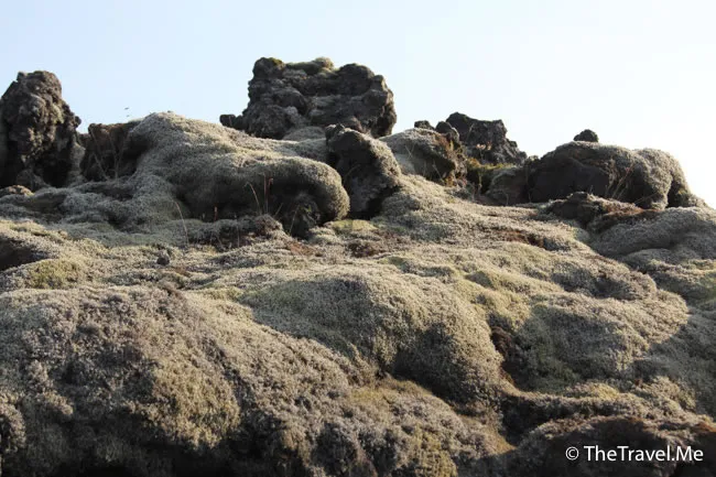 粗眉仔, 旅遊, Travel, 渡假, 觀光, sightseeing, 歐洲, 冰島, 北極, 瀑布, 熔岩, 冰山, Europe, Iceland, Golden Circle, 火山, volcano, Reykjavik, Akureyri, lake Myvatn, glacier, 冰川