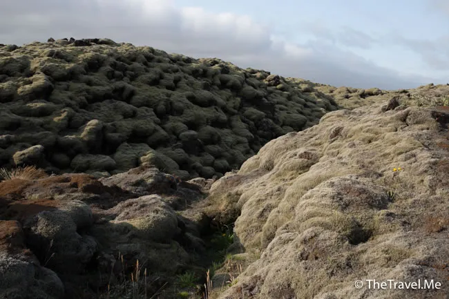 粗眉仔, 旅遊, Travel, 渡假, 觀光, sightseeing, 歐洲, 冰島, 北極, 瀑布, 熔岩, 冰山, Europe, Iceland, Golden Circle, 火山, volcano, Reykjavik, Akureyri, lake Myvatn, glacier, 冰川