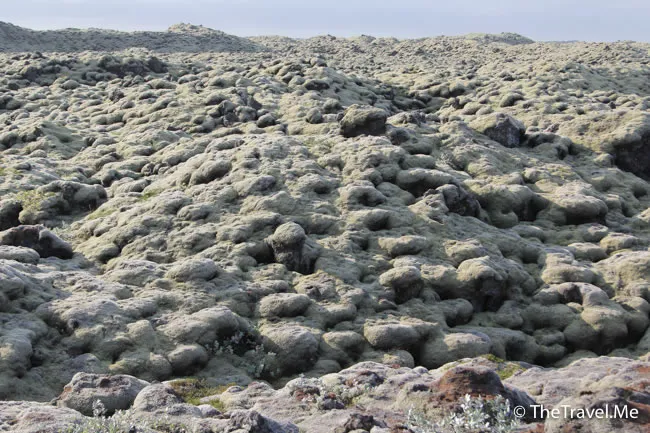 粗眉仔, 旅遊, Travel, 渡假, 觀光, sightseeing, 歐洲, 冰島, 北極, 瀑布, 熔岩, 冰山, Europe, Iceland, Golden Circle, 火山, volcano, Reykjavik, Akureyri, lake Myvatn, glacier, 冰川