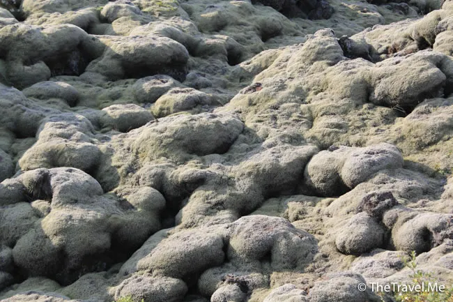 粗眉仔, 旅遊, Travel, 渡假, 觀光, sightseeing, 歐洲, 冰島, 北極, 瀑布, 熔岩, 冰山, Europe, Iceland, Golden Circle, 火山, volcano, Reykjavik, Akureyri, lake Myvatn, glacier, 冰川