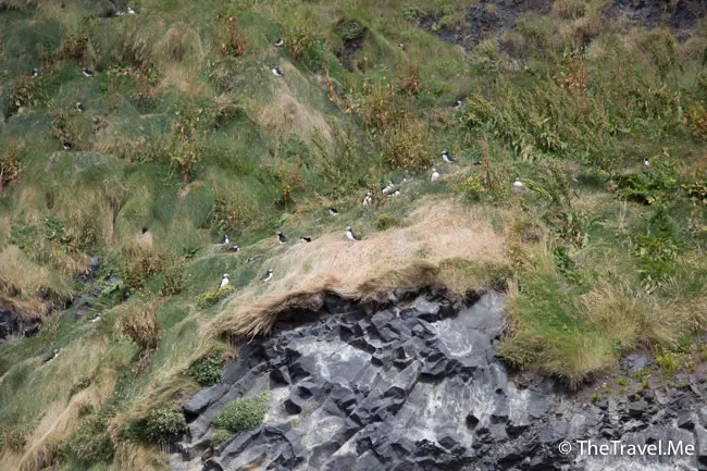 粗眉仔, 旅遊, Travel, 渡假, 觀光, sightseeing, 歐洲, 冰島, 北極, 瀑布, 熔岩, 冰山, Europe, Iceland, Golden Circle, 火山, volcano, Reykjavik, Akureyri, lake Myvatn, glacier, 冰川