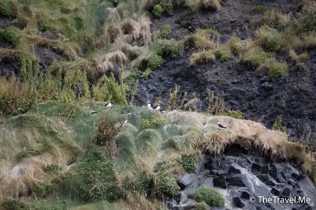 粗眉仔, 旅遊, Travel, 渡假, 觀光, sightseeing, 歐洲, 冰島, 北極, 瀑布, 熔岩, 冰山, Europe, Iceland, Golden Circle, 火山, volcano, Reykjavik, Akureyri, lake Myvatn, glacier, 冰川