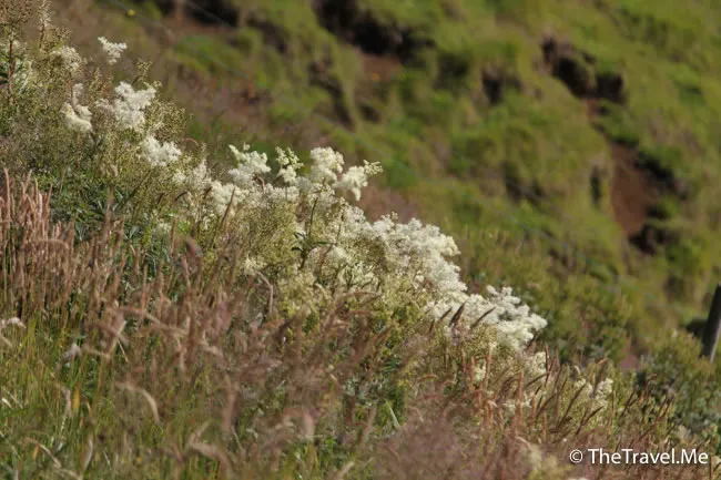 粗眉仔, 旅遊, Travel, 渡假, 觀光, sightseeing, 歐洲, 冰島, 北極, 瀑布, 熔岩, 冰山, Europe, Iceland, Golden Circle, 火山, volcano, Reykjavik, Akureyri, lake Myvatn, glacier, 冰川