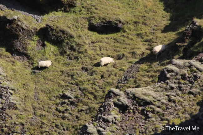 粗眉仔, 旅遊, Travel, 渡假, 觀光, sightseeing, 歐洲, 冰島, 北極, 瀑布, 熔岩, 冰山, Europe, Iceland, Golden Circle, 火山, volcano, Reykjavik, Akureyri, lake Myvatn, glacier, 冰川