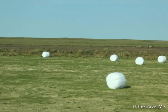 粗眉仔, 旅遊, Travel, 渡假, 觀光, sightseeing, 歐洲, 冰島, 北極, 瀑布, 熔岩, 冰山, Europe, Iceland, Golden Circle, 火山, volcano, Reykjavik, Akureyri, lake Myvatn, glacier, 冰川