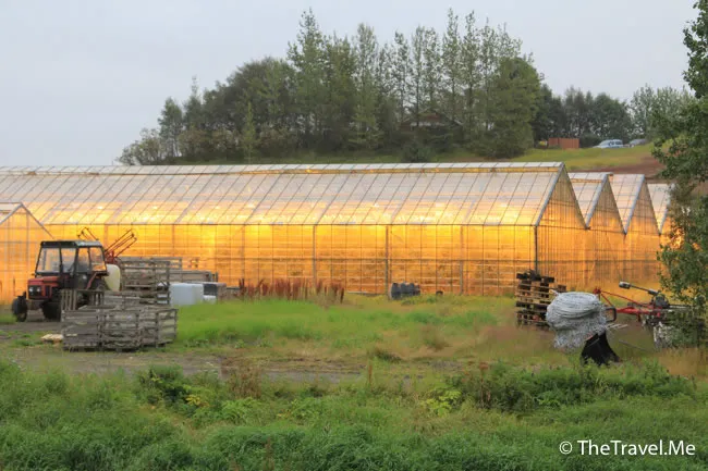 粗眉仔, 旅遊, Travel, 渡假, 觀光, sightseeing, 歐洲, 冰島, 北極, 瀑布, 熔岩, 冰山, Europe, Iceland, Golden Circle, 火山, volcano, Reykjavik, Akureyri, lake Myvatn, glacier, 冰川