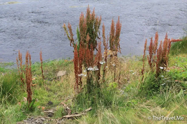 粗眉仔, 旅遊, Travel, 渡假, 觀光, sightseeing, 歐洲, 冰島, 北極, 瀑布, 熔岩, 冰山, Europe, Iceland, Golden Circle, 火山, volcano, Reykjavik, Akureyri, lake Myvatn, glacier, 冰川