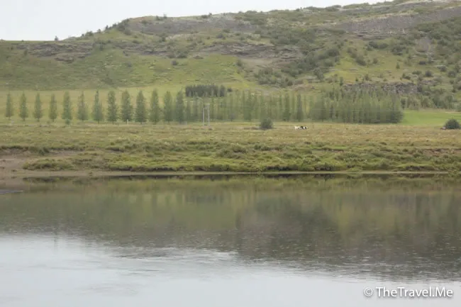 粗眉仔, 旅遊, Travel, 渡假, 觀光, sightseeing, 歐洲, 冰島, 北極, 瀑布, 熔岩, 冰山, Europe, Iceland, Golden Circle, 火山, volcano, Reykjavik, Akureyri, lake Myvatn, glacier, 冰川