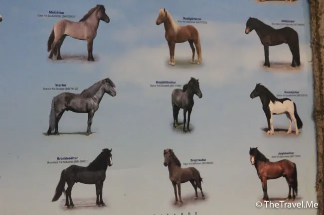 粗眉仔, 旅遊, Travel, 渡假, 觀光, sightseeing, 歐洲, 冰島, 北極, 瀑布, 熔岩, 冰山, Europe, Iceland, Golden Circle, 火山, volcano, Reykjavik, Akureyri, lake Myvatn, glacier, 冰川