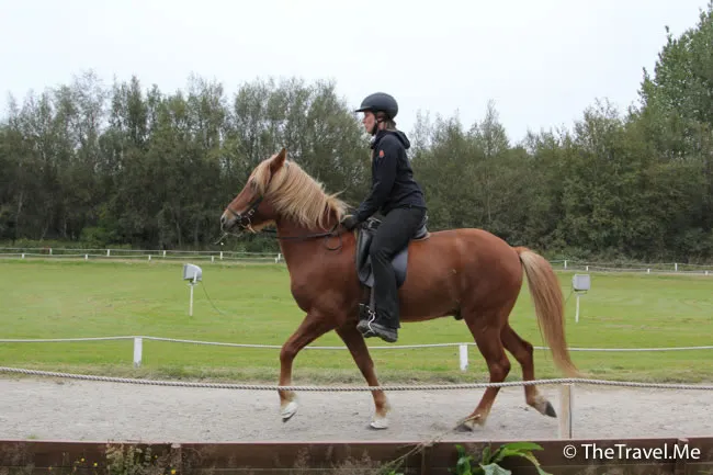 粗眉仔, 旅遊, Travel, 渡假, 觀光, sightseeing, 歐洲, 冰島, 北極, 瀑布, 熔岩, 冰山, Europe, Iceland, Golden Circle, 火山, volcano, Reykjavik, Akureyri, lake Myvatn, glacier, 冰川