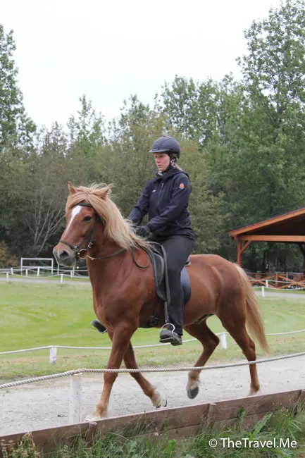 粗眉仔, 旅遊, Travel, 渡假, 觀光, sightseeing, 歐洲, 冰島, 北極, 瀑布, 熔岩, 冰山, Europe, Iceland, Golden Circle, 火山, volcano, Reykjavik, Akureyri, lake Myvatn, glacier, 冰川