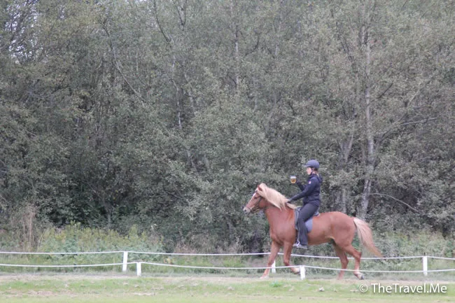 粗眉仔, 旅遊, Travel, 渡假, 觀光, sightseeing, 歐洲, 冰島, 北極, 瀑布, 熔岩, 冰山, Europe, Iceland, Golden Circle, 火山, volcano, Reykjavik, Akureyri, lake Myvatn, glacier, 冰川