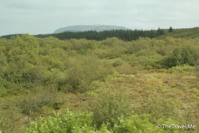 粗眉仔, 旅遊, Travel, 渡假, 觀光, sightseeing, 歐洲, 冰島, 北極, 瀑布, 熔岩, 冰山, Europe, Iceland, Golden Circle, 火山, volcano, Reykjavik, Akureyri, lake Myvatn, glacier, 冰川