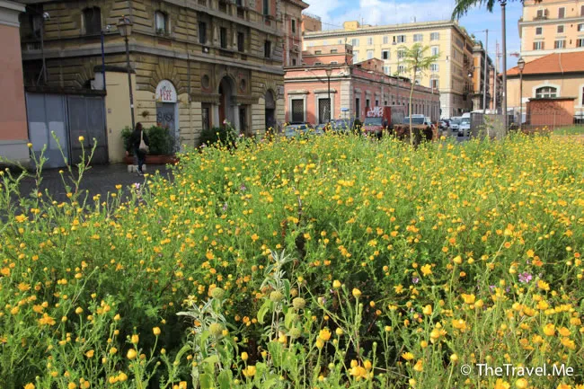 粗眉仔, 旅遊, 文化遺產, 藝術, 歐洲, 意大利, 梵蒂岡, 羅馬, 翡冷翠, 佛羅倫斯, 拿波里, 那不勒斯, 龐貝, 古蹟, 文藝復興, travel, Europe, Italy, Rome, Napoli, Florence, Renaissance, Pompeii, relics, Vatican